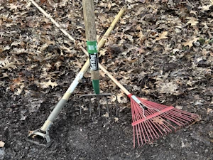 tools to use in yard clean up