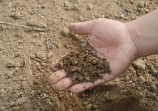 ammending the components of your soil